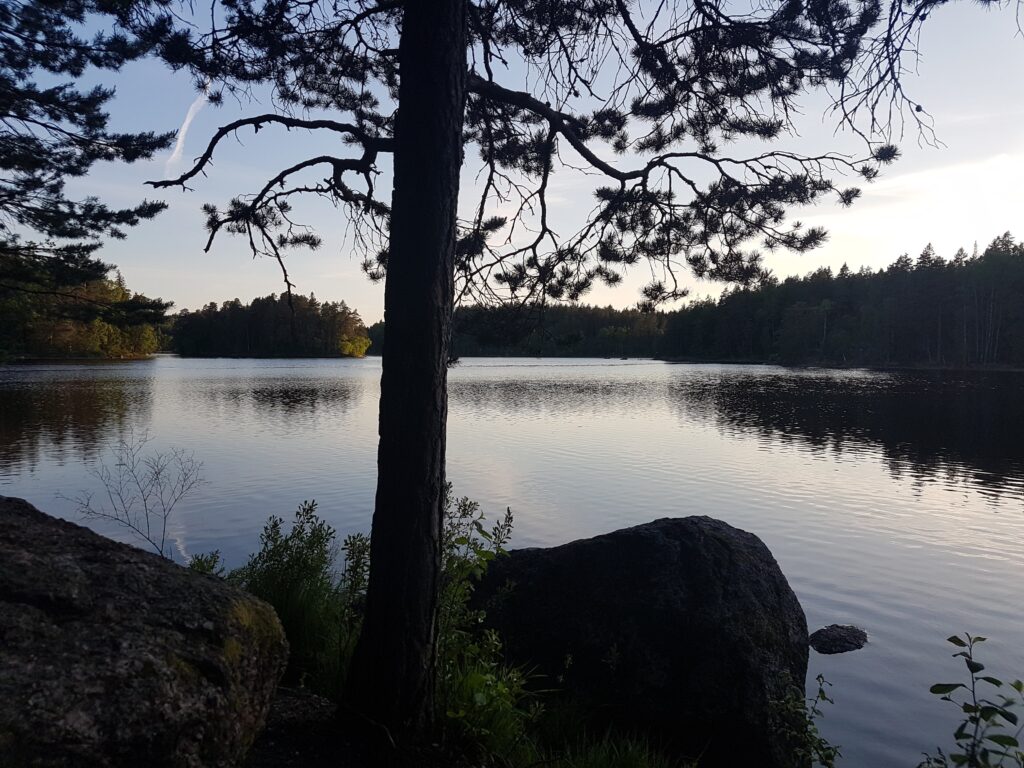 View from the sauna at Glottern